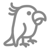 鸟 鸟