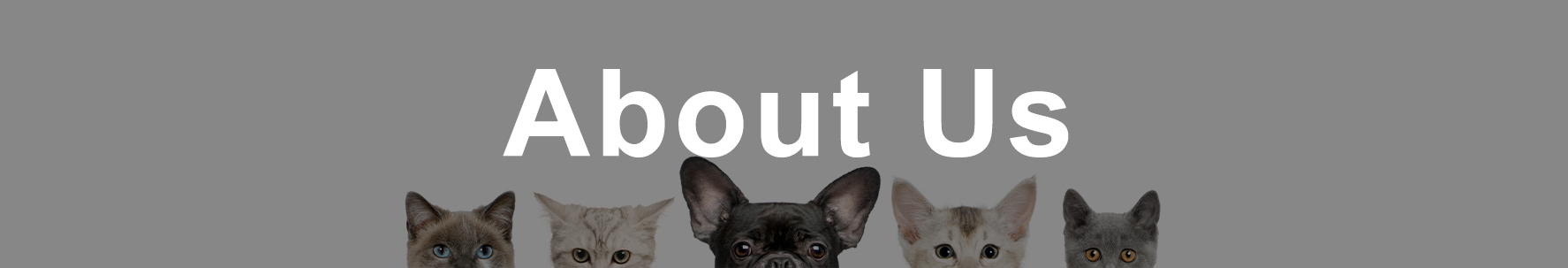ATFAS网站 banner about us ATFAS网站 banner about us
