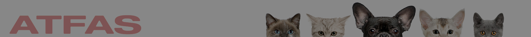ATFAS网站banner 拷贝 ATFAS网站banner 拷贝